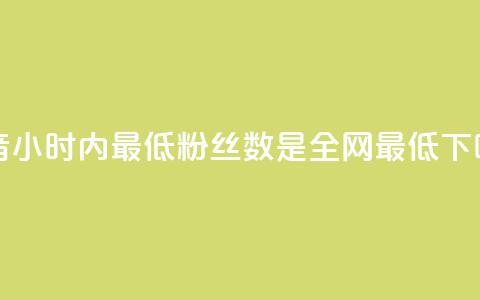 抖音24小时内最低粉丝数是全网最低 第1张 抖音24小时内最低粉丝数是全网最低 第1张