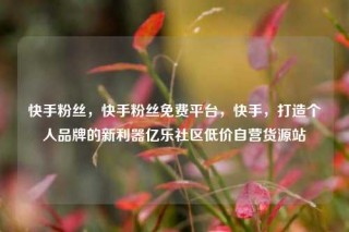 快手粉丝，快手粉丝免费平台，快手，打造个人品牌的新利器亿乐社区低价自营货源站