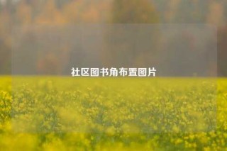 社区图书角布置图片